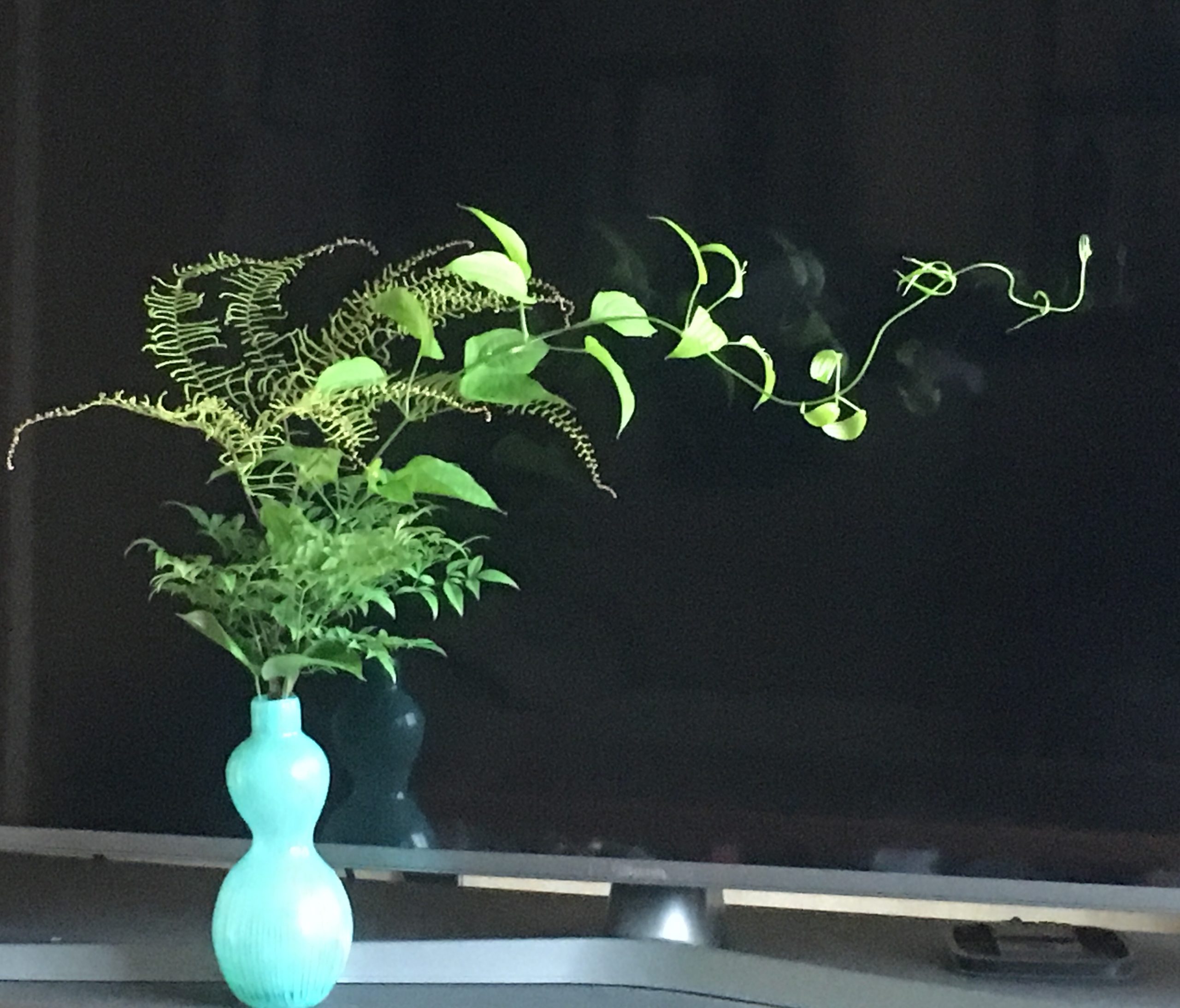 グリーンと遊ぶ 枝もの 葉もののご紹介 きれい が大好き 花屋 S ダイアリー