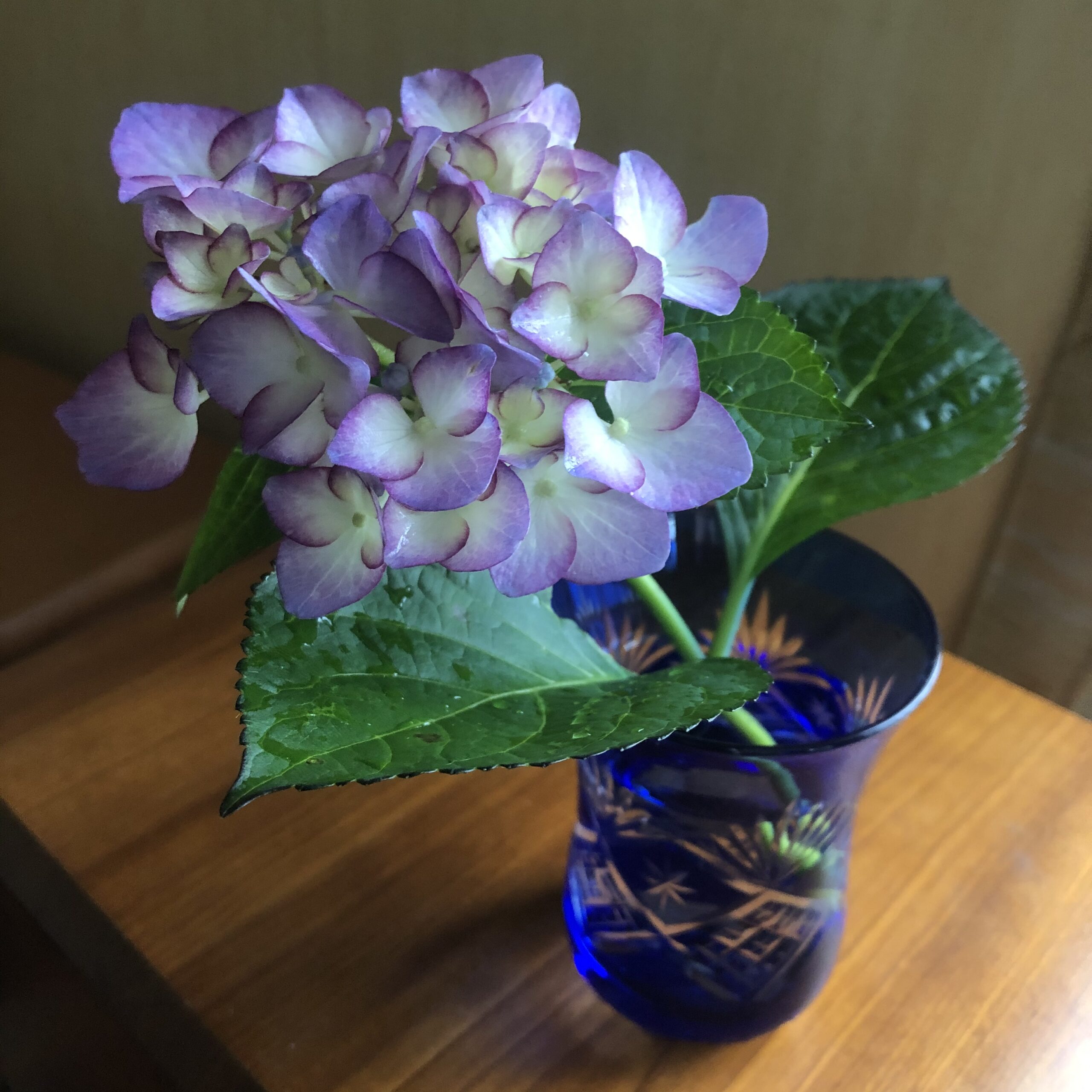 愛でましょ 紫陽花 きれい が大好き 花屋 S ダイアリー