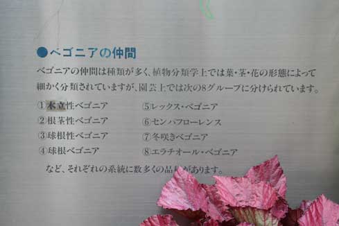 スタンド花　花束　花ギフト　花を贈る　フラワーギフト　誕生日花setumei