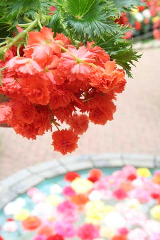 スタンド花　花束　花ギフト　花を贈る　フラワーギフト　誕生日花prenji-uekara